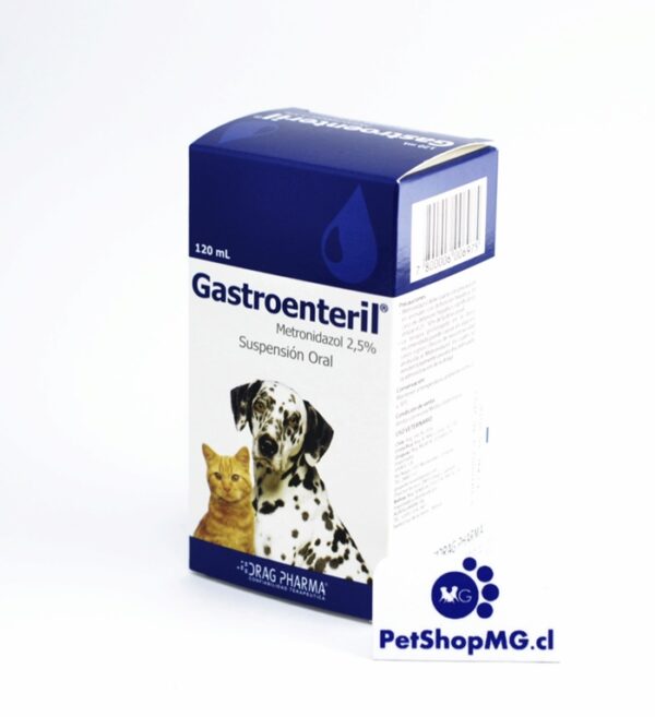 Gastroenteril