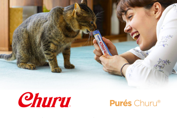 Gato comiendo churu